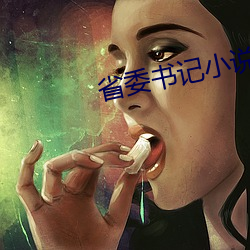 省委书记小说