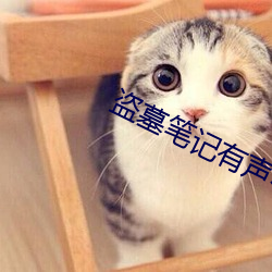 盗墓笔记(記)有(有)声(聲)小说(說)