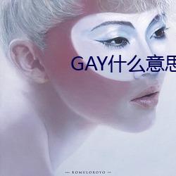 GAY什么意思