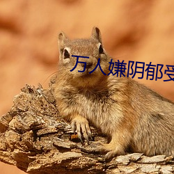 尊龙凯时-人生就是搏!