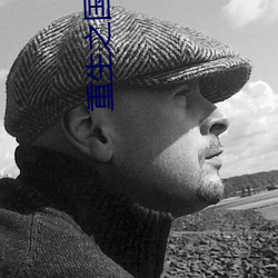 重生之国民男神