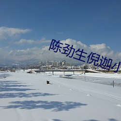 陈劲(勁)生(生)倪迦小(小)说(說)