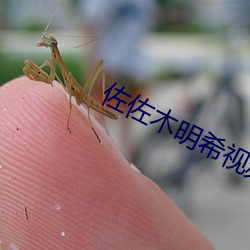 金年会 | 诚信至上金字招牌