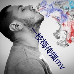 一枝梅傳媒mv