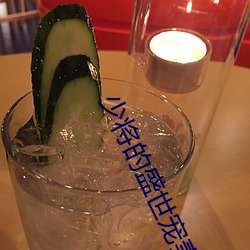 少将的盛世宠(寵)妻