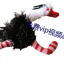 免费vip视(視)频app