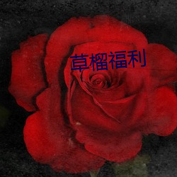 草榴(liú)福利(lì)