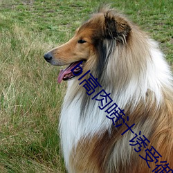 bl高肉喷汁诱受御宅屋ABO