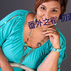 番外之霍 初遇4