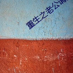 重生之(zhī)老公请接(jiē)招