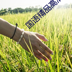 国(國)语精品高清(清)在线(線)观(觀)看