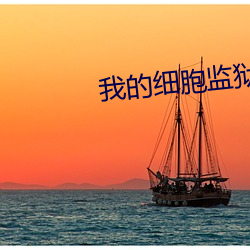 我的细胞监狱 （念兹在兹）