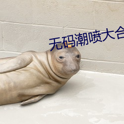 无码潮喷大合集MAGNET