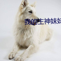 我的主神(shén)妹妹