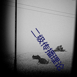 二级传播理论