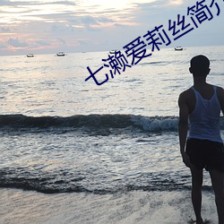 七(七)濑爱(愛)莉(莉)丝简(簡)介