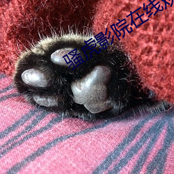 骚虎影院在线观看