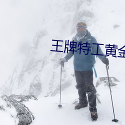 王牌特工黃金圈梅林最後一曲