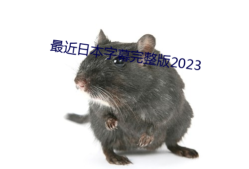 最(最)近日本(本)字(字)幕完(完)整版2023