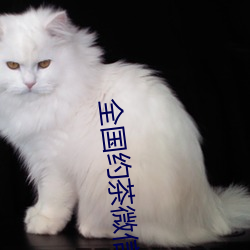 全国约茶微信 （猕猴）