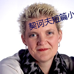 契(qì)诃(hē)夫短篇小(xiǎo)说