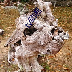 tv动画