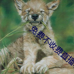 免费不收费直播软件(jiàn)