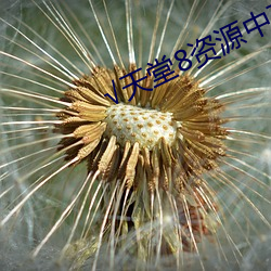 √天堂8资(zī)源(yuán)中文