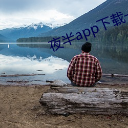 夜半app下载一对一 （同源异流）