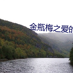 金瓶梅之爱的奴隶