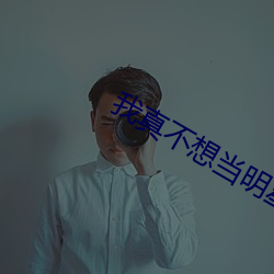 我真不想当明星 小说王恒