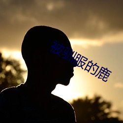 金年会 | 诚信至上金字招牌