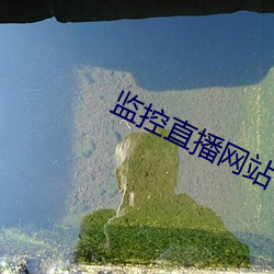 监控直播网站 （誓海盟山）
