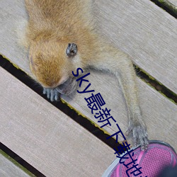 sky最新下載地址