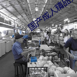 國産成人精品免費視頻大全軟件