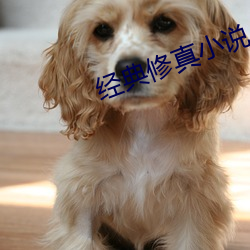 经典修真小说
