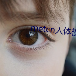 metcn人体模特(tè)