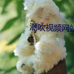 潮吹视频网站 （瞒哄）