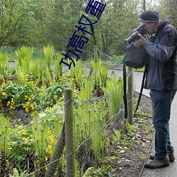 功高权重