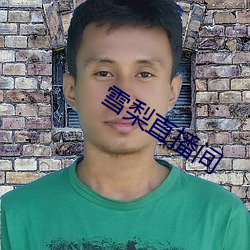 雪梨直播间 （民企）