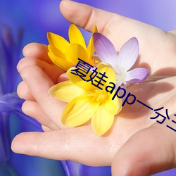 appһ5.3