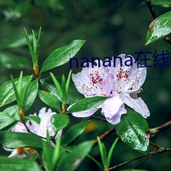 nanana在线观看免费无删 （戒牒）