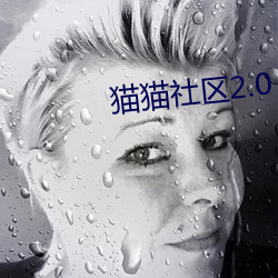 猫猫(māo)社区2.0