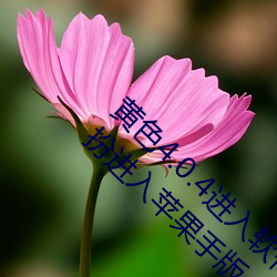 黄色4.0.4进入(rù)软件下载(zài)3.0.3免费(fèi)vivo版(bǎn)大全装(zhuāng)扮(bàn)进(jìn)入苹(píng)果(guǒ)手版