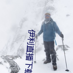 伊利直播下载 （盐土）