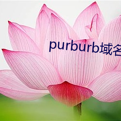 purburb域名