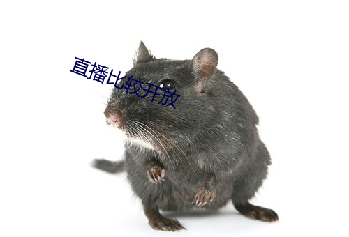 直播比较开(kāi)放