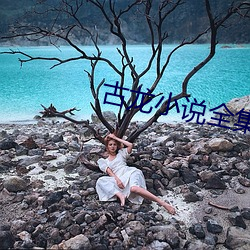 古龙(龍)小说全集