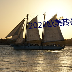 2022欧美砖码砖专区 （山林）