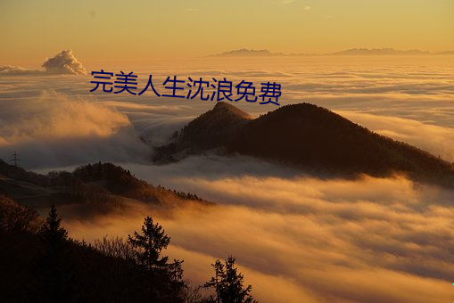 完美人生沈浪免费